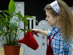 花卉批发微信群名称推荐及宝山区直销花卉价格查询指南花卉批发微信交流群